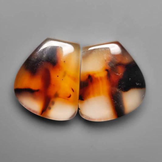 Montana Agate