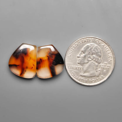 Montana Agate Pair
