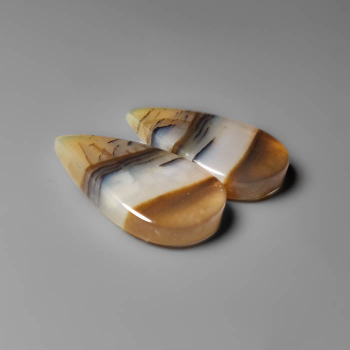 Montana Agate Pair