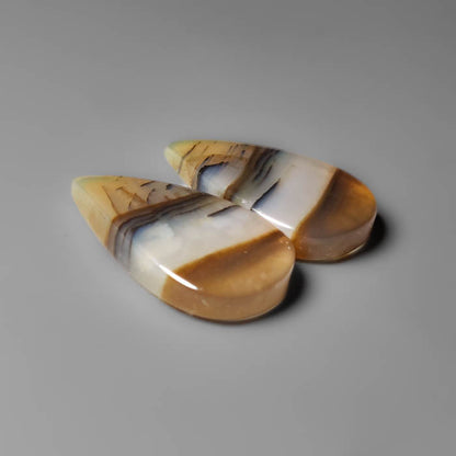 Montana Agate Pair