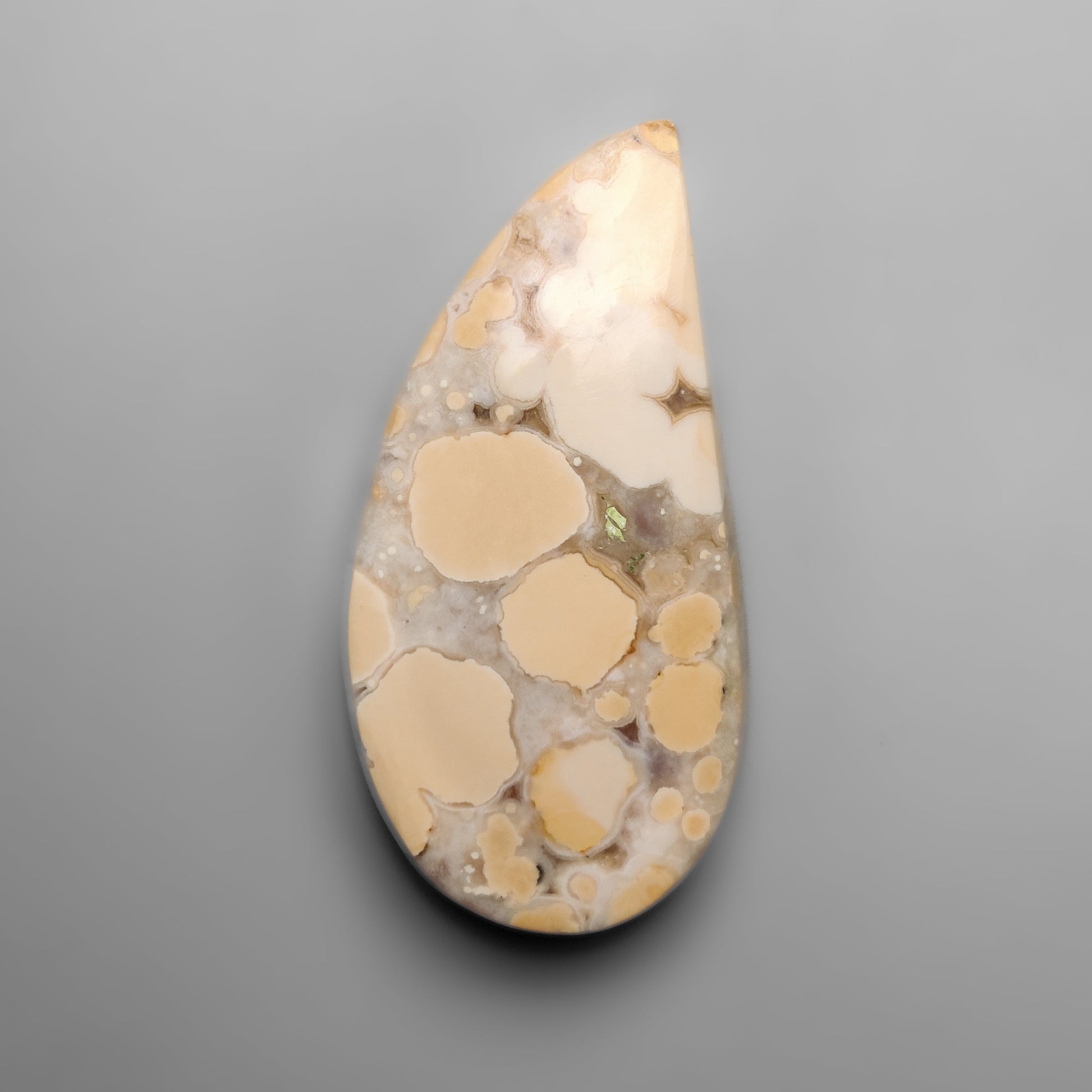 Cobra Jasper
