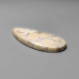 Cobra Jasper