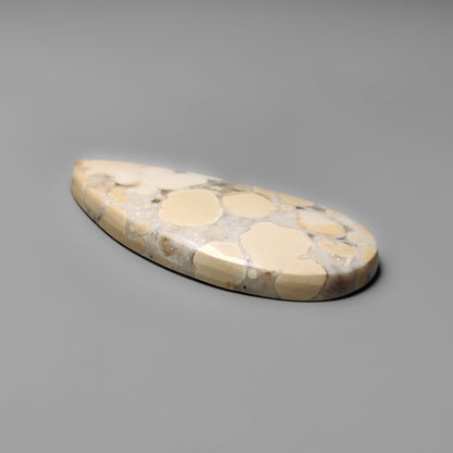 Cobra Jasper