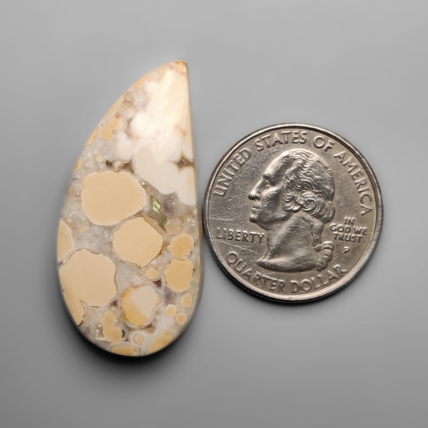 Cobra Jasper
