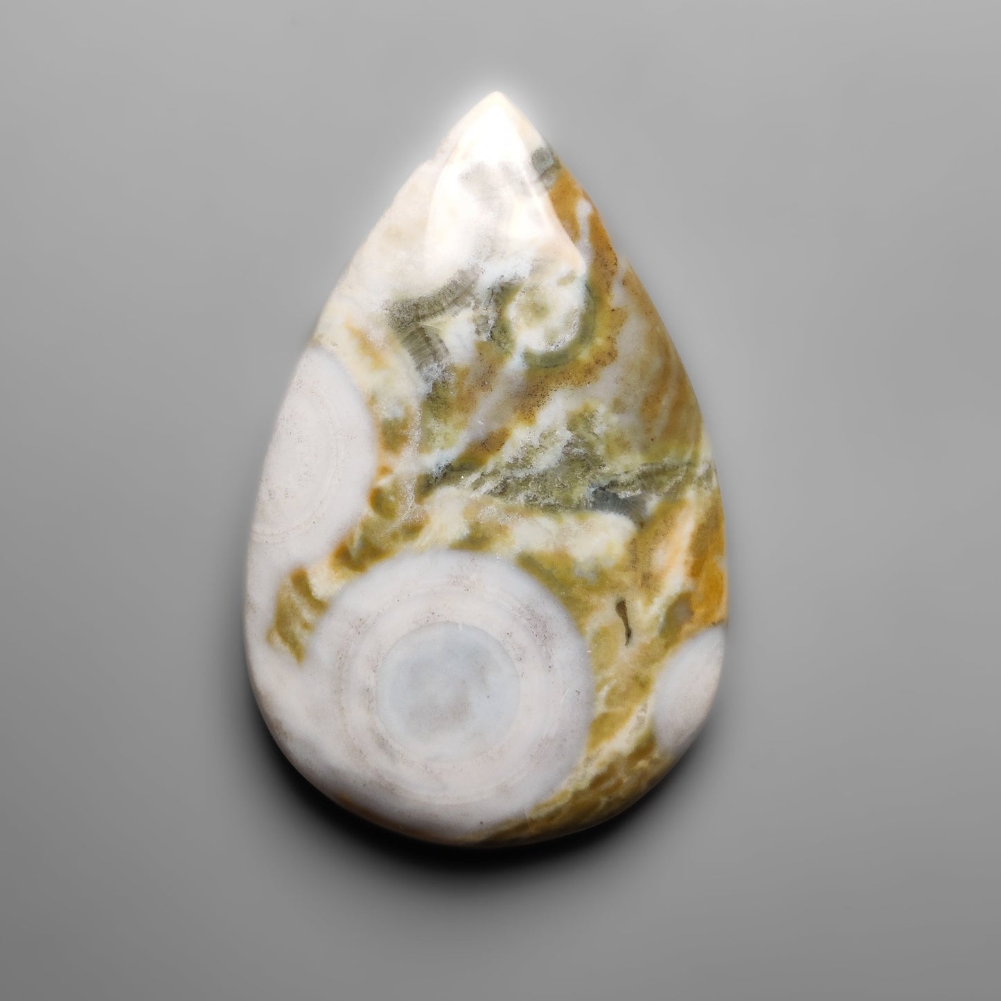 Cobra Jasper