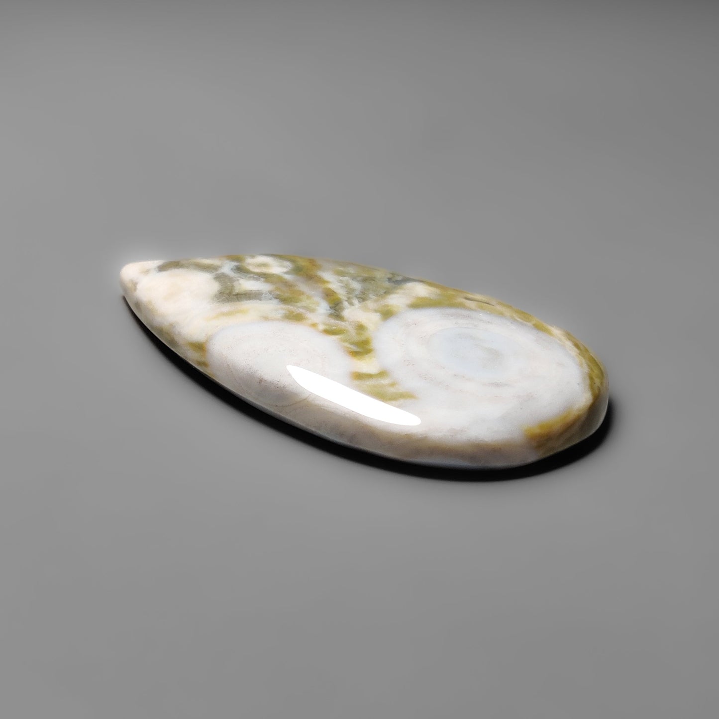 Cobra Jasper