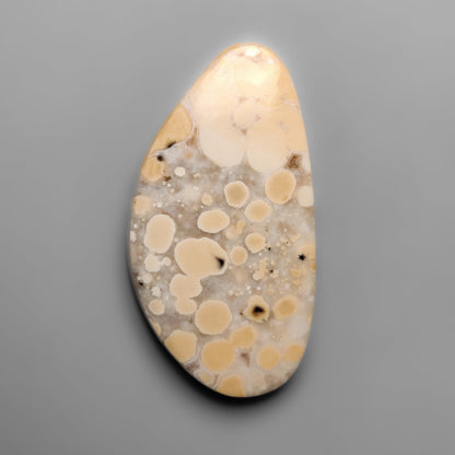 Cobra Jasper