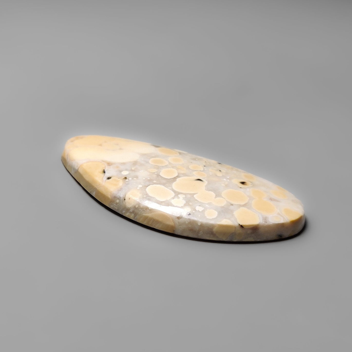 Cobra Jasper
