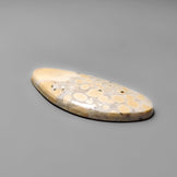 Cobra Jasper