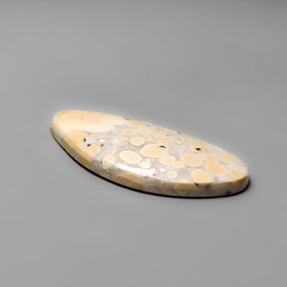 Cobra Jasper