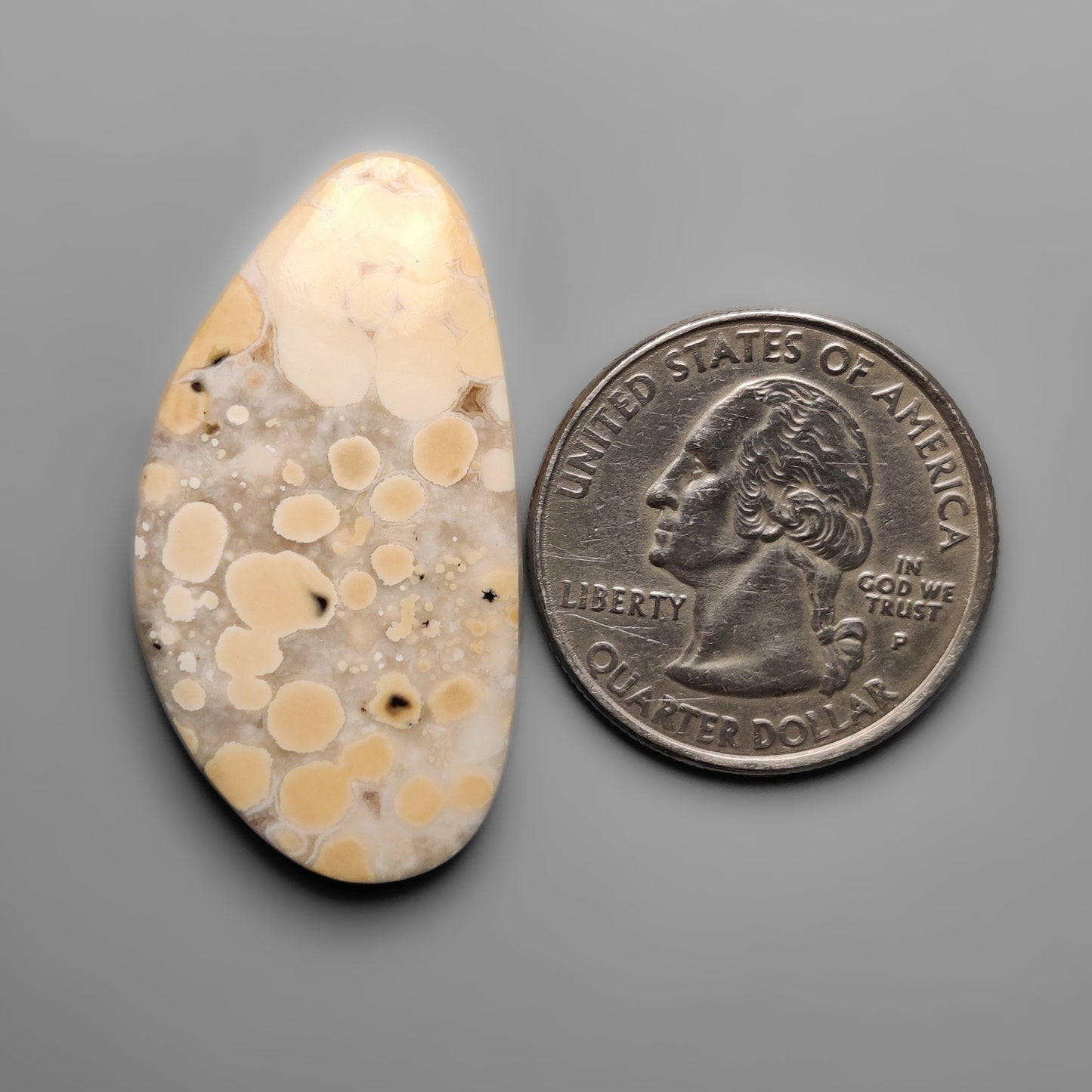Cobra Jasper
