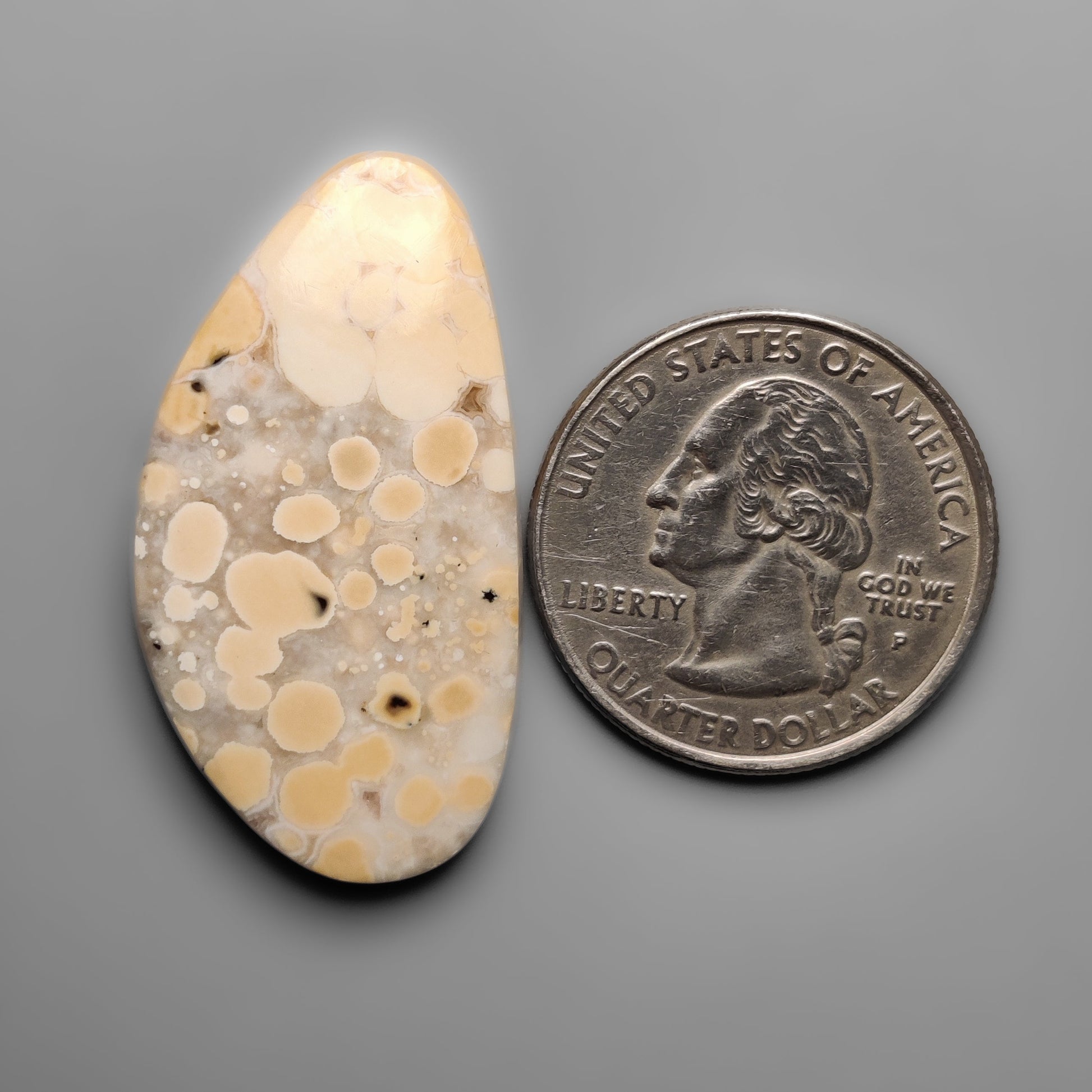 Cobra Jasper