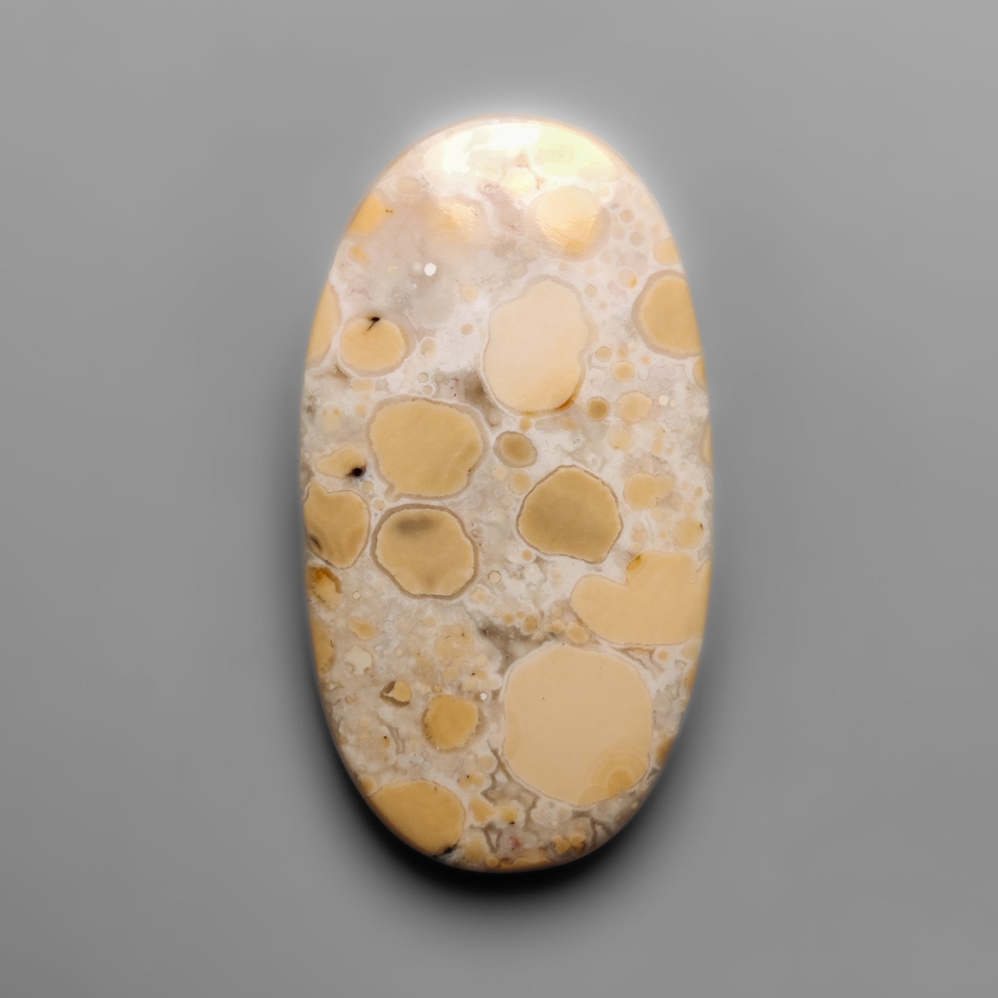 Cobra Jasper
