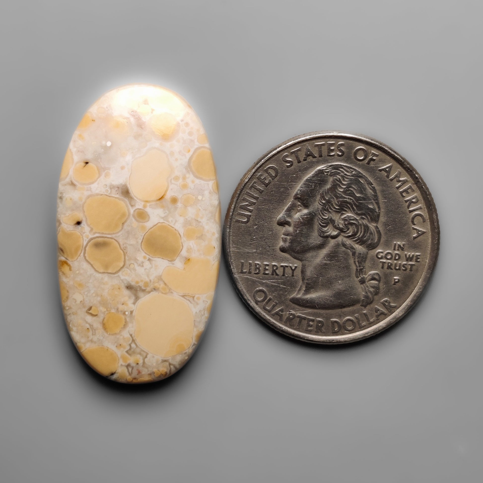 Cobra Jasper