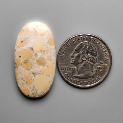 Cobra Jasper