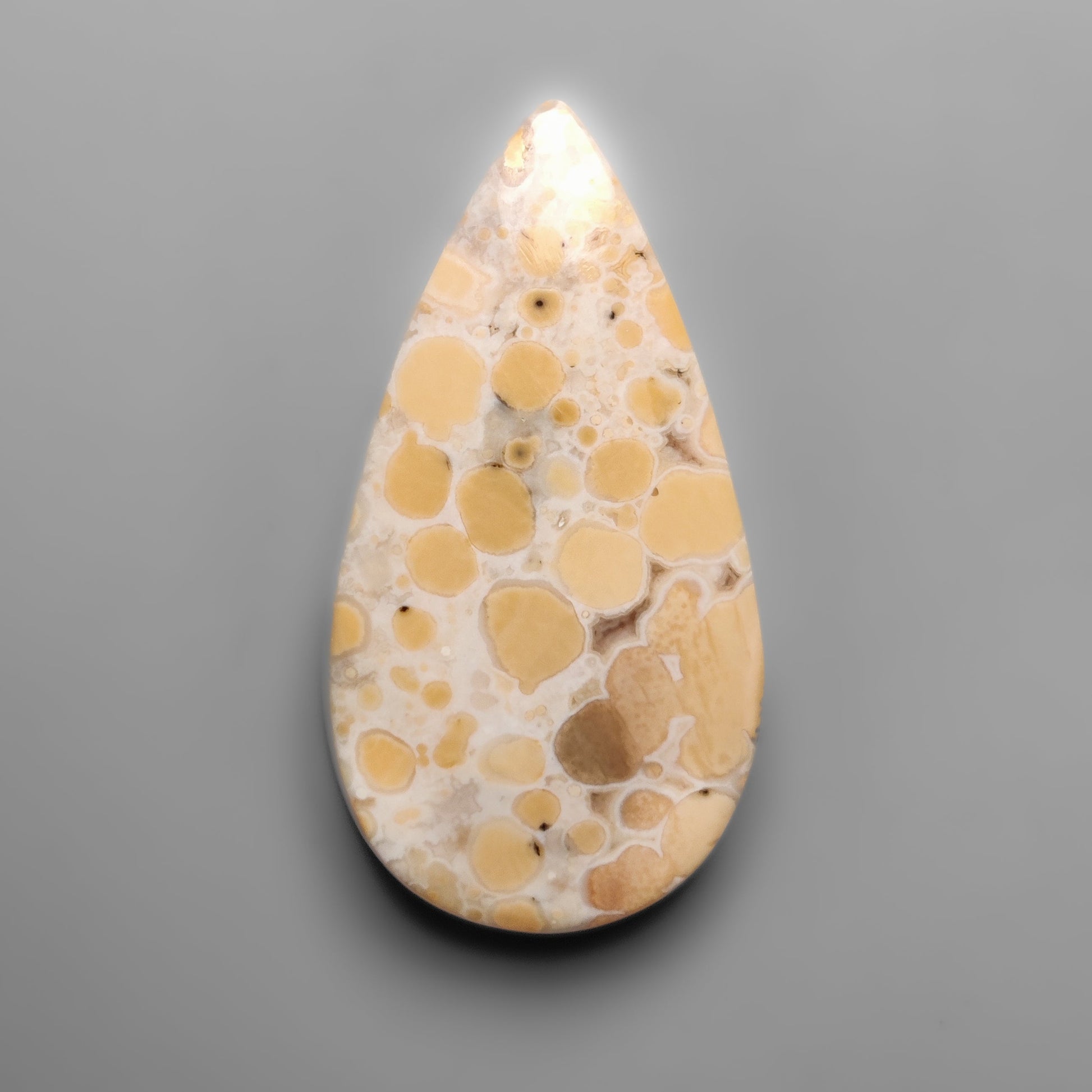 Cobra Jasper