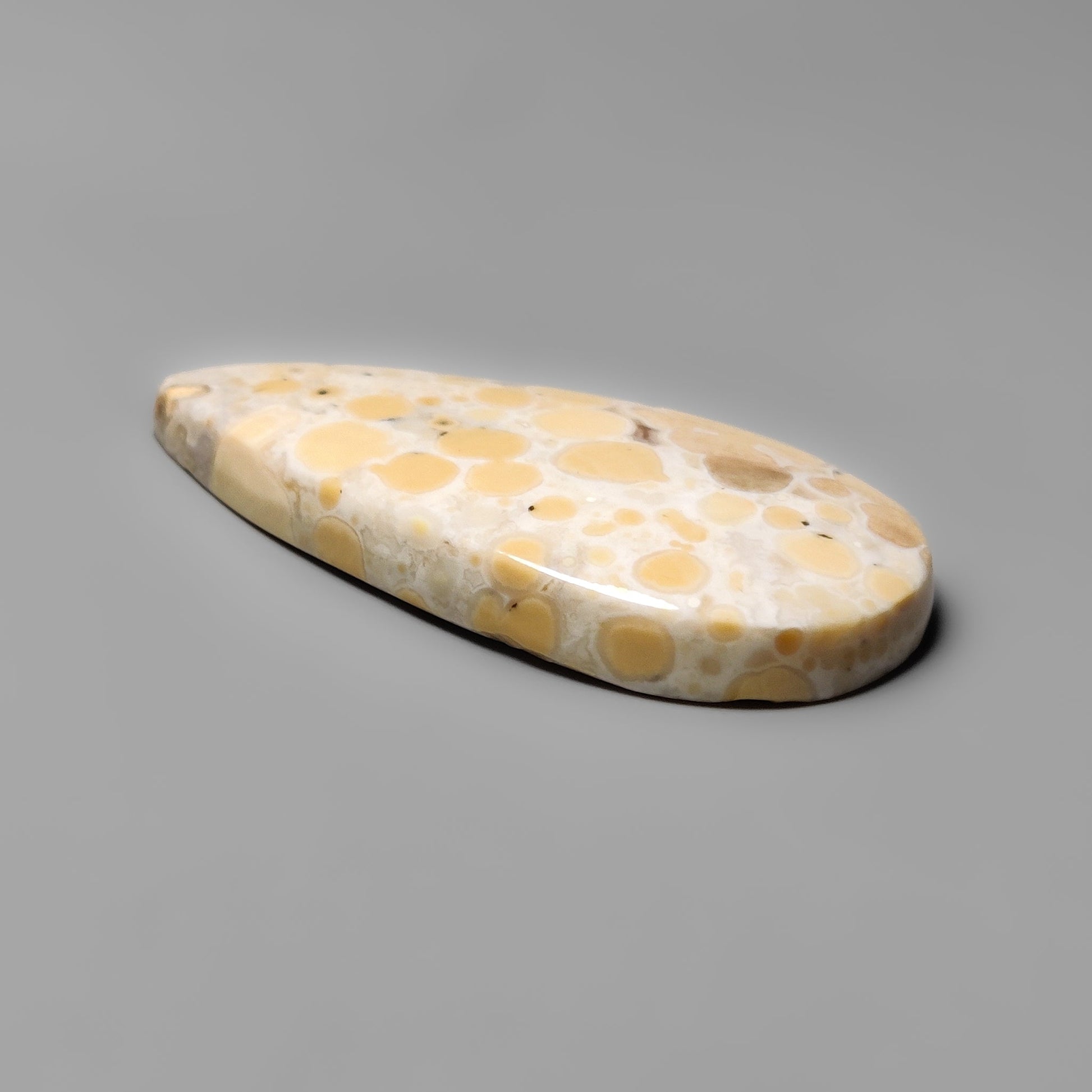 Cobra Jasper