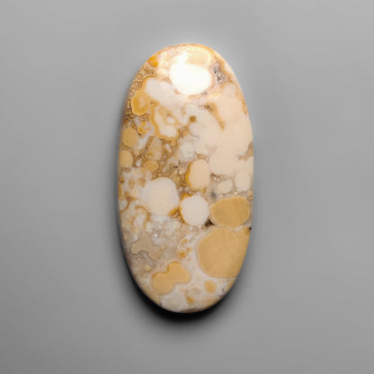 Cobra Jasper