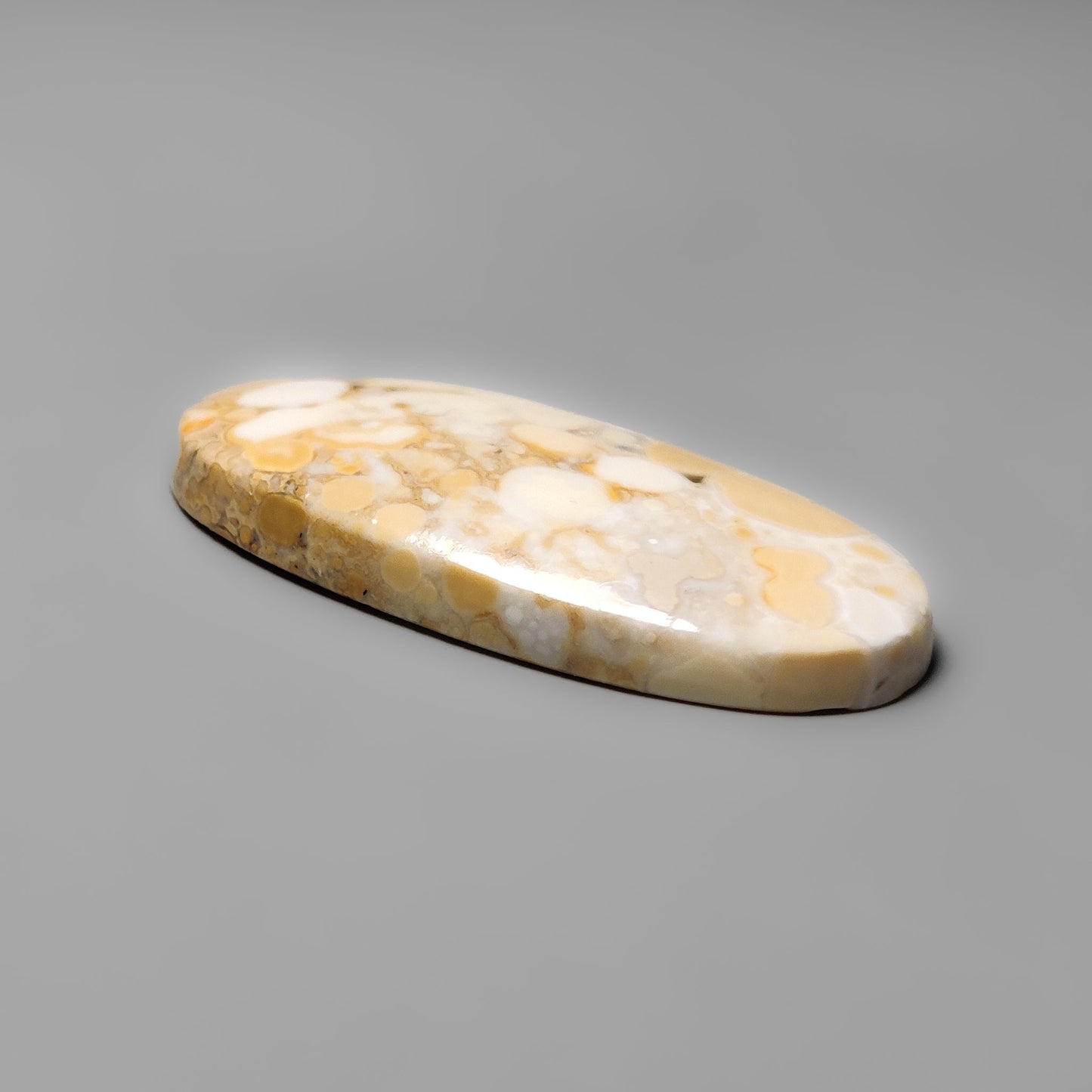 Cobra Jasper