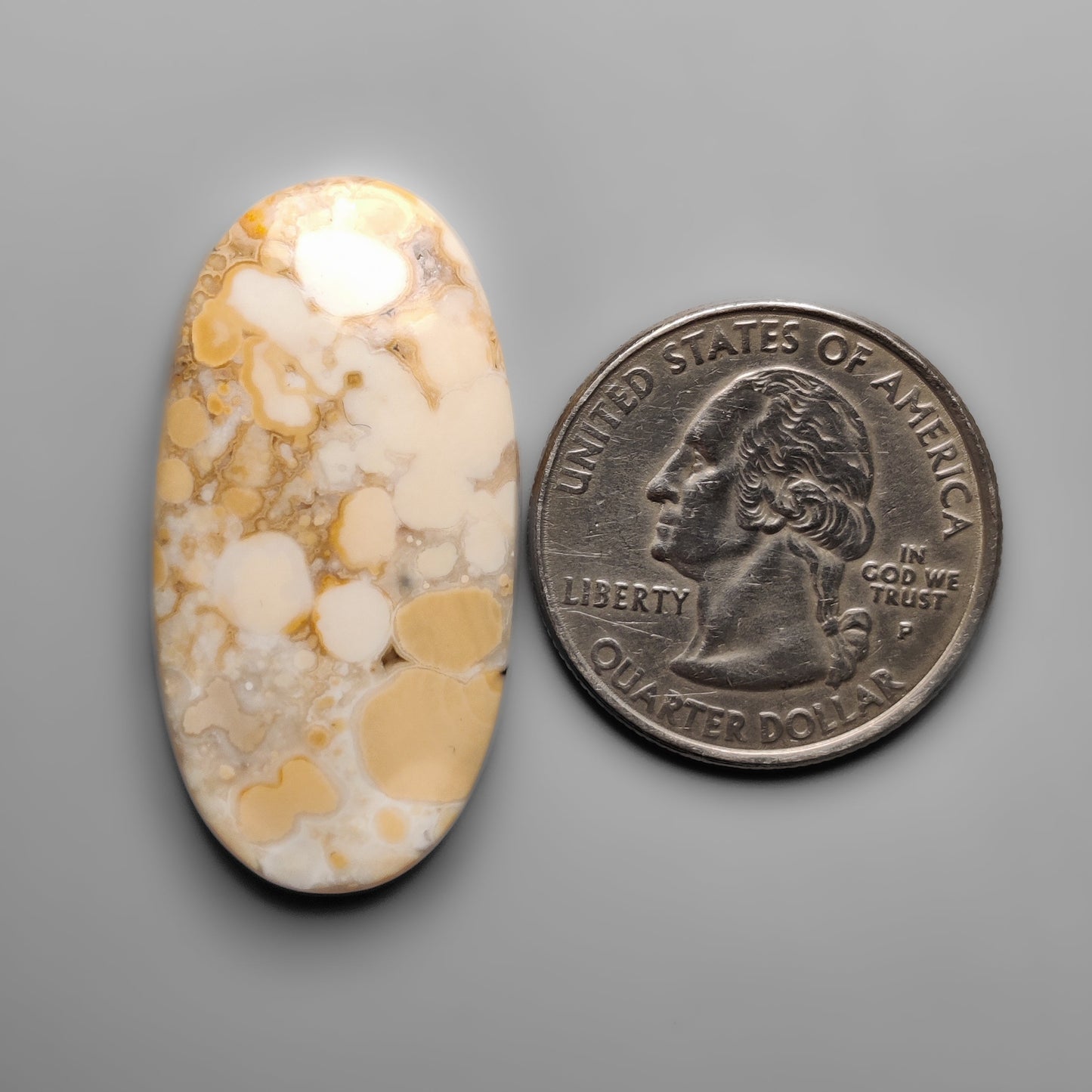 Cobra Jasper