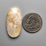 Cobra Jasper