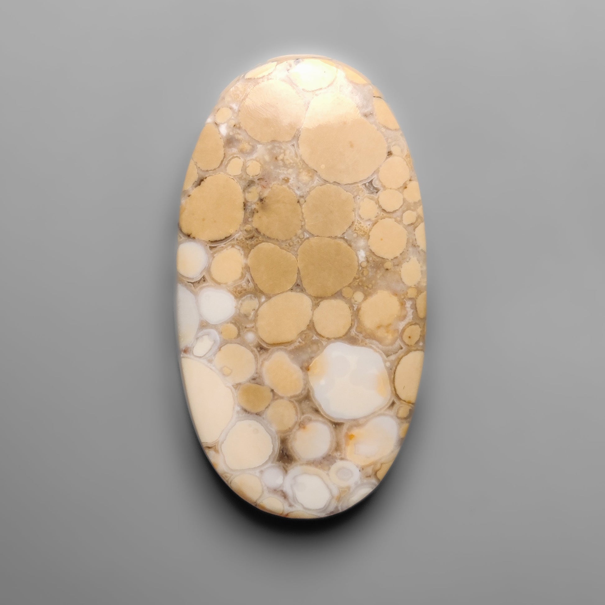 Cobra Jasper