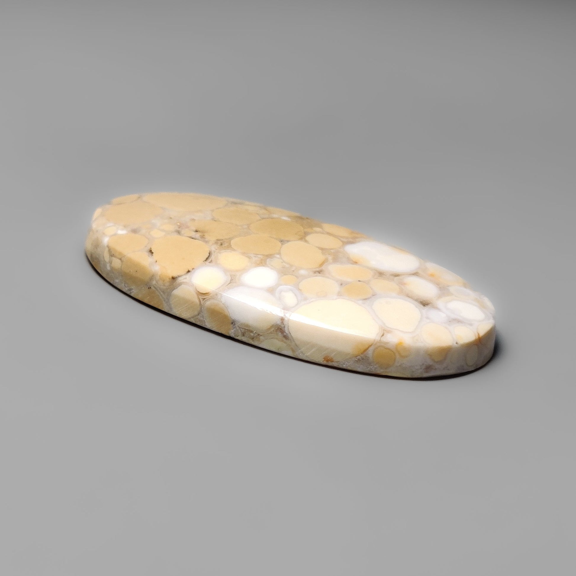 Cobra Jasper