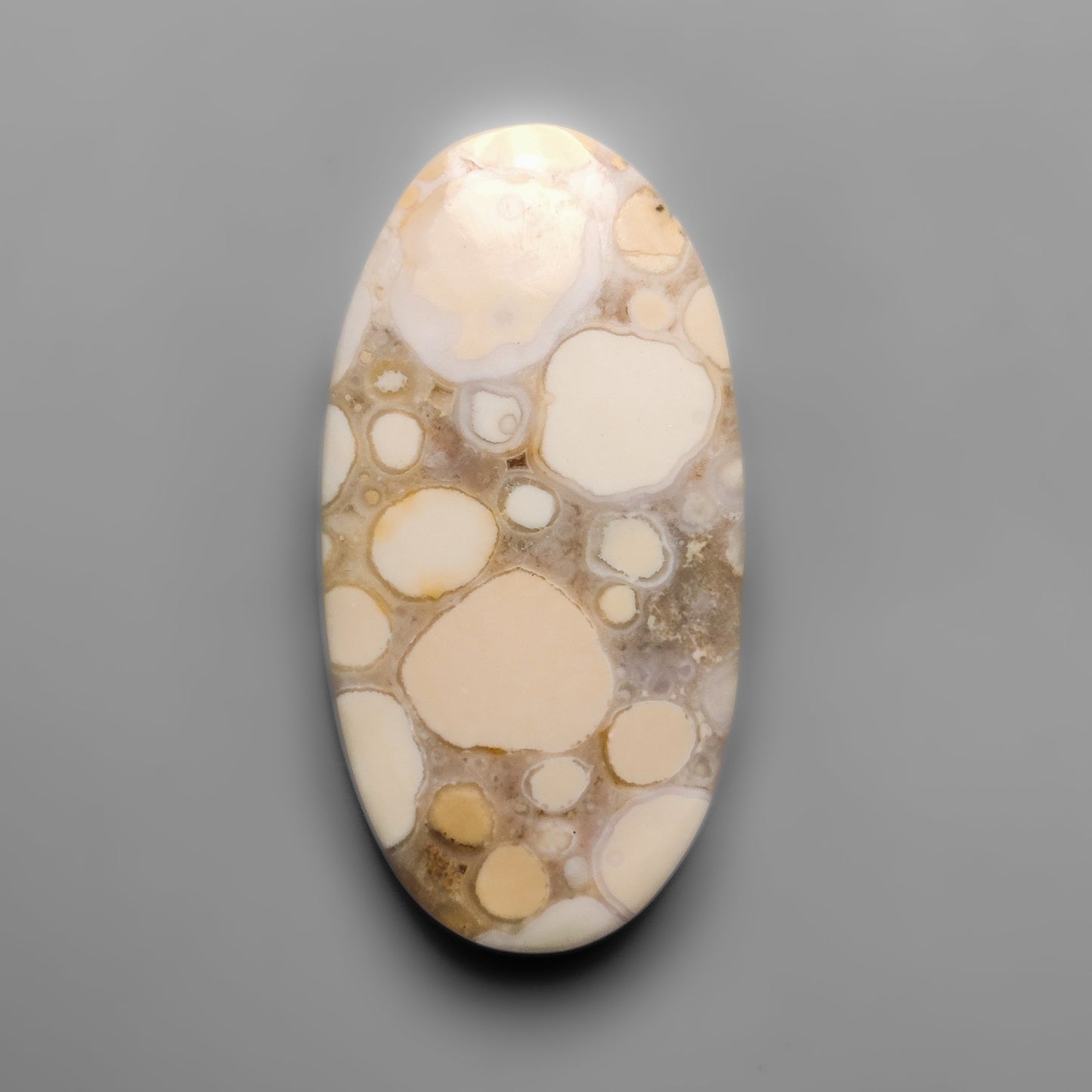 Cobra Jasper