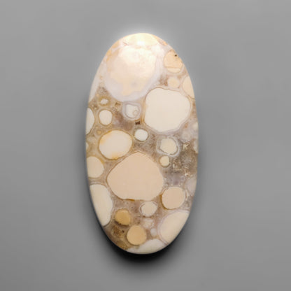 Cobra Jasper