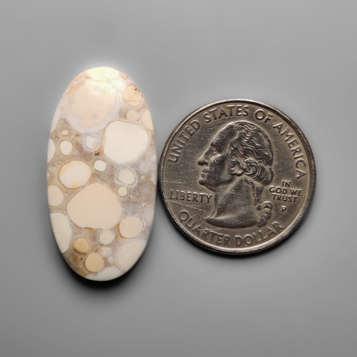 Cobra Jasper