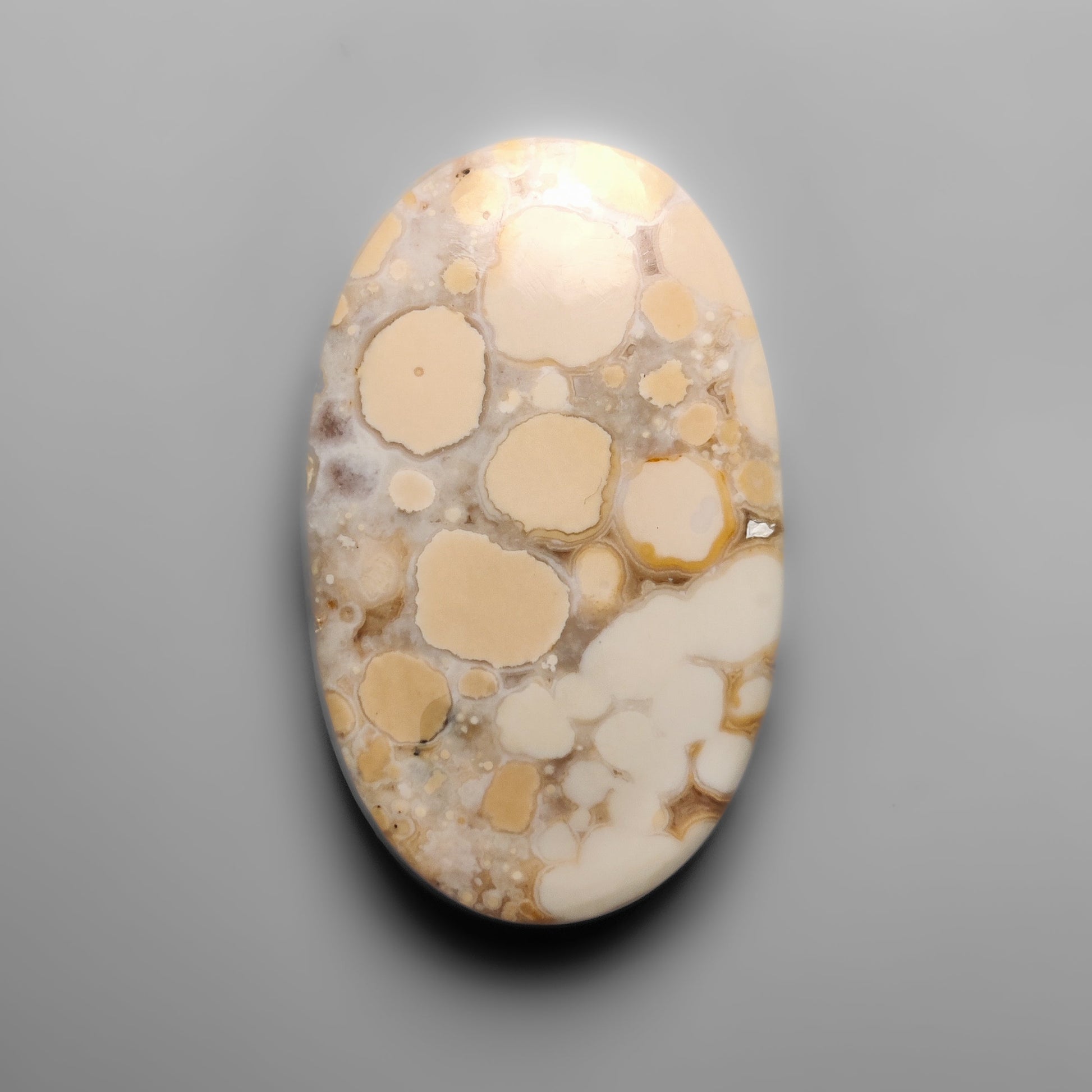Cobra Jasper