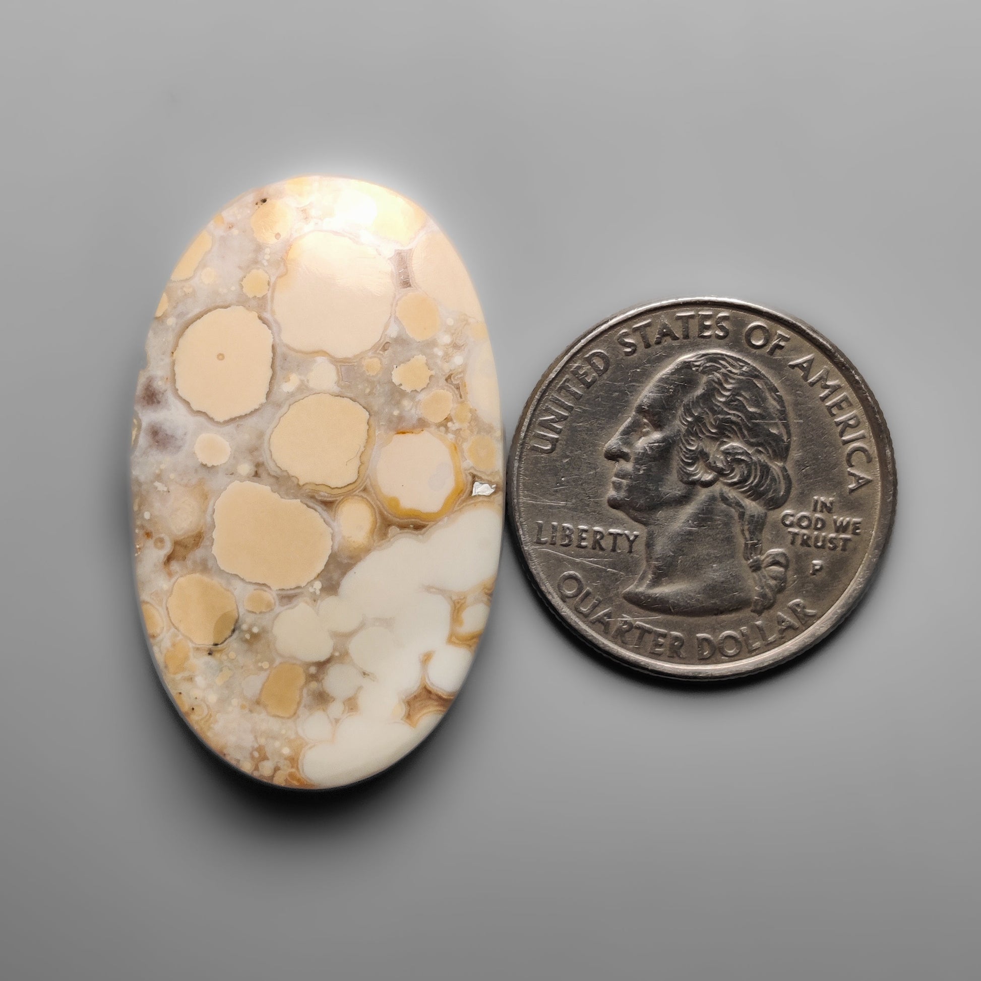 Cobra Jasper