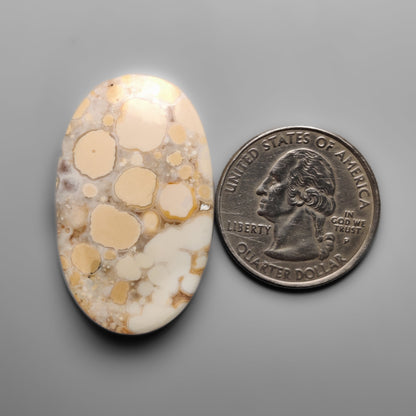 Cobra Jasper