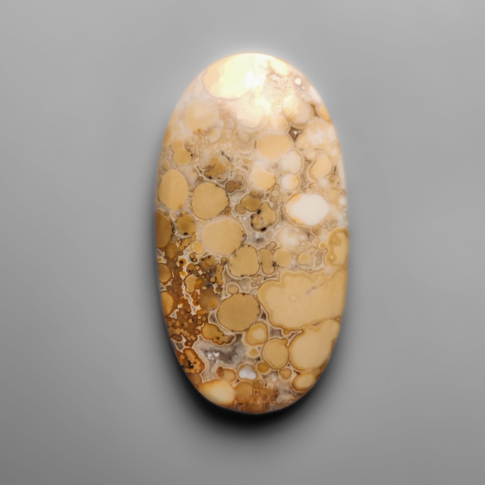 Cobra Jasper