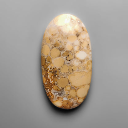 Cobra Jasper