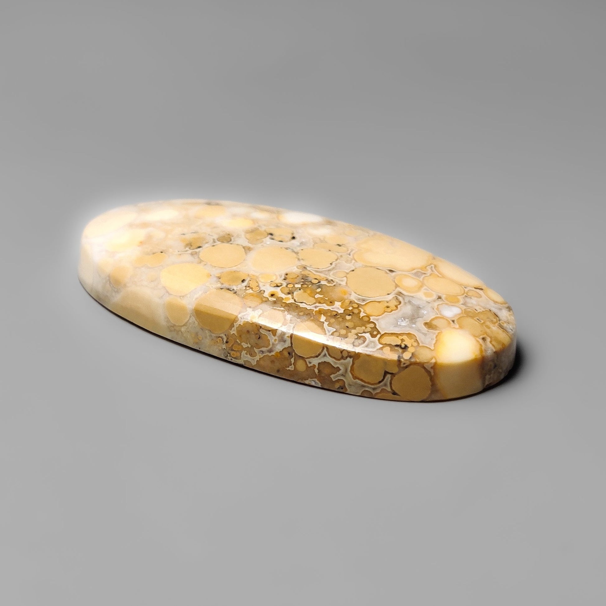 Cobra Jasper