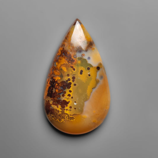 Polka Dot Agate