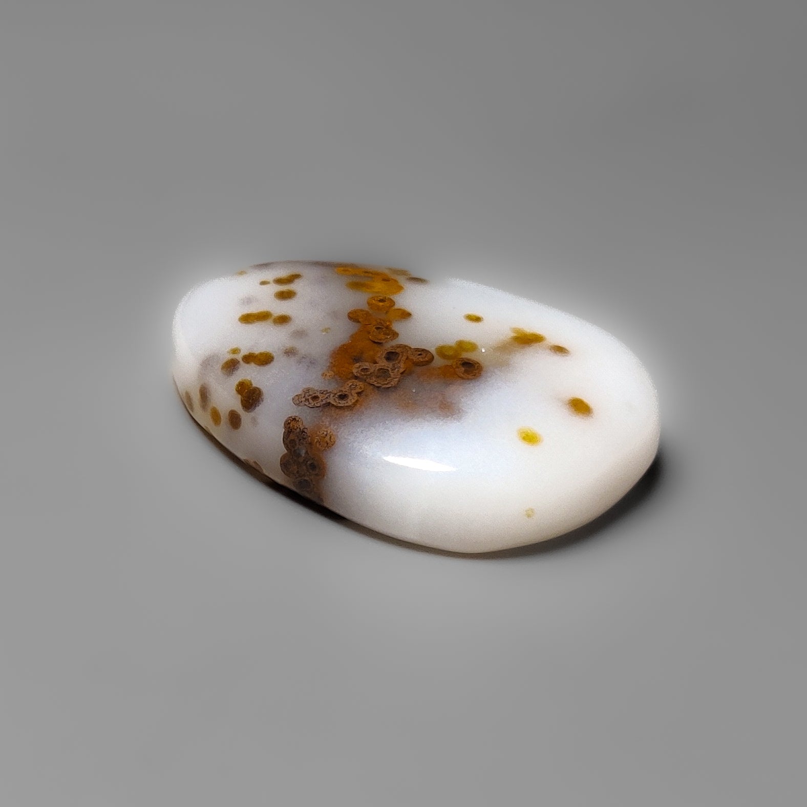 Polka Dot Agate
