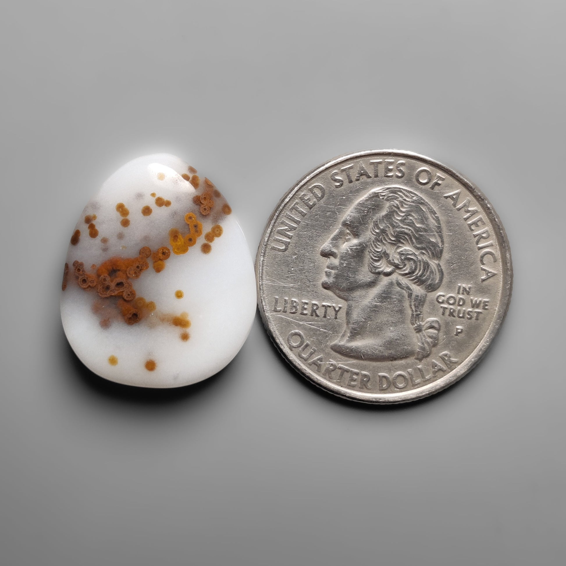 Polka Dot Agate