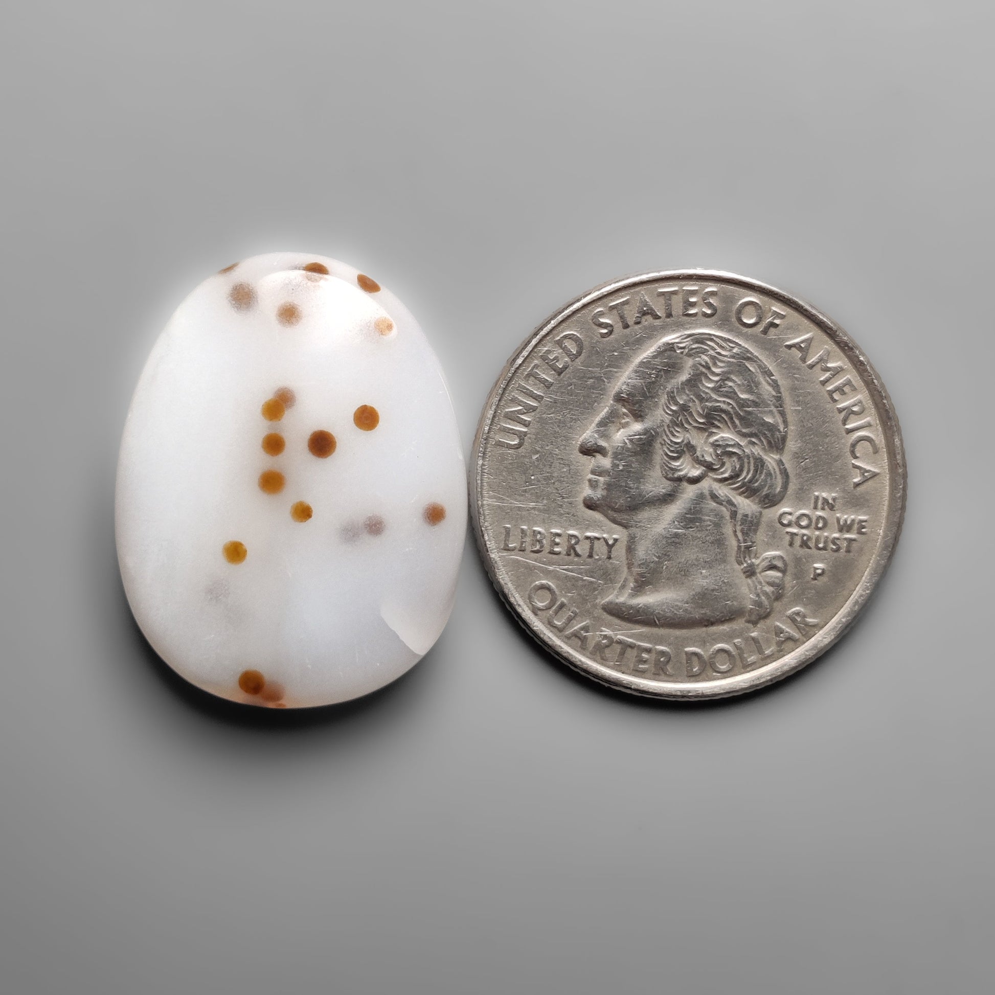 Polka Dot Agate
