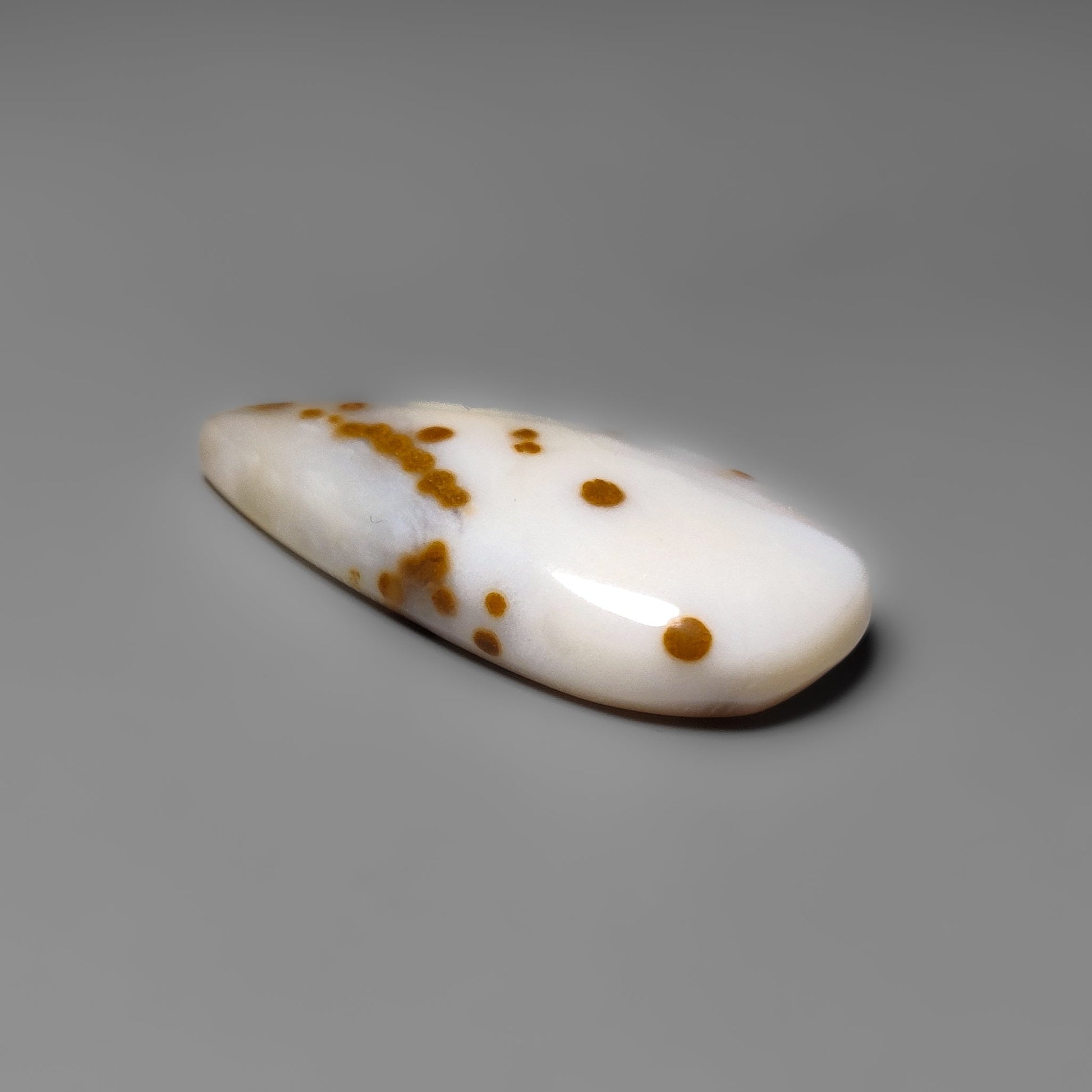 Polka Dot Agate