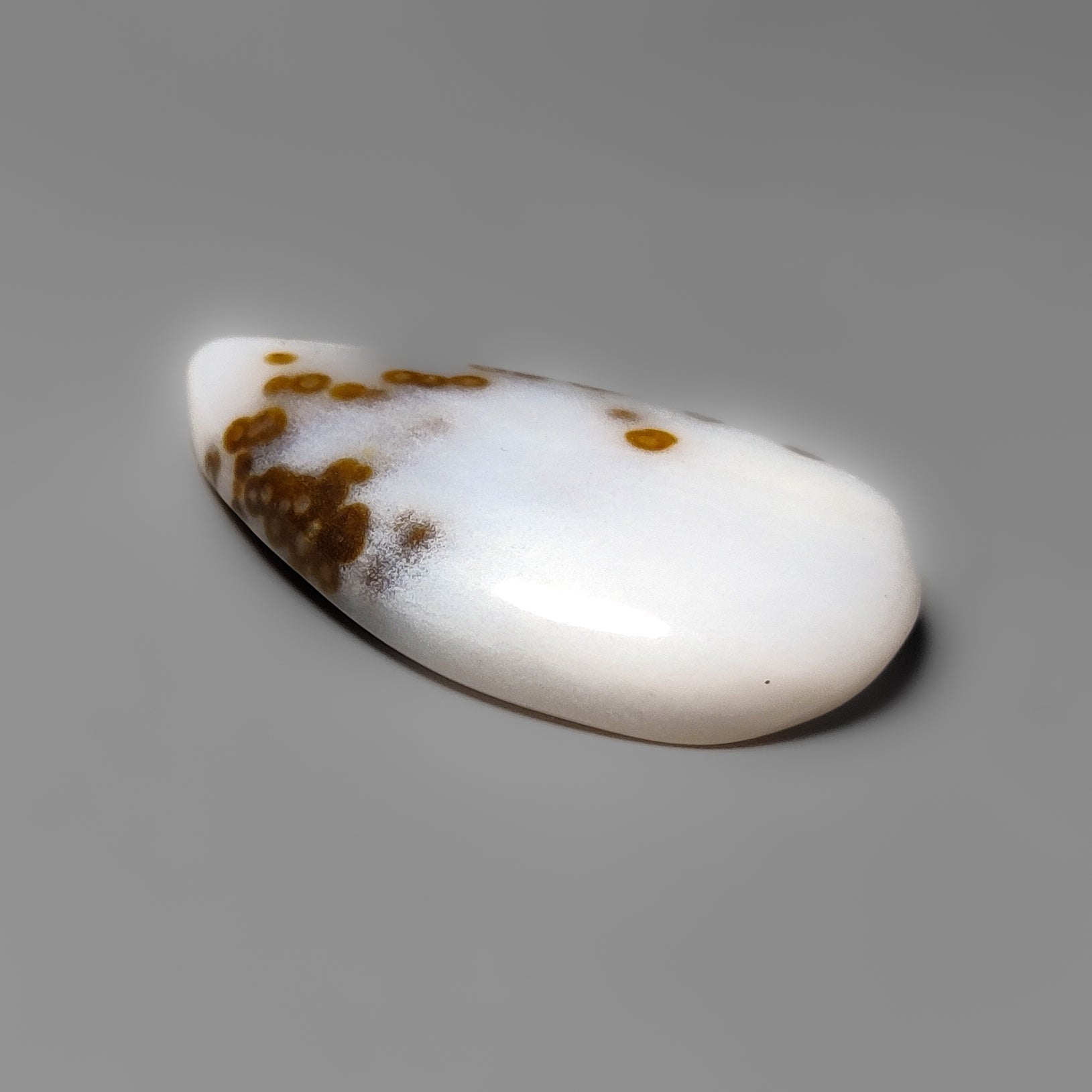 Polka Dot Agate