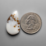 Polka Dot Agate