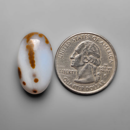 Polka Dot Agate