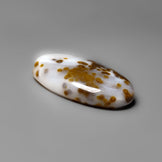Polka Dot Agate