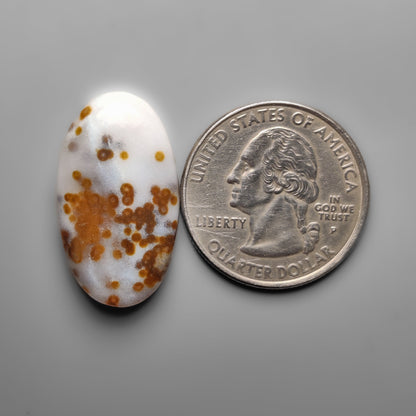 Polka Dot Agate