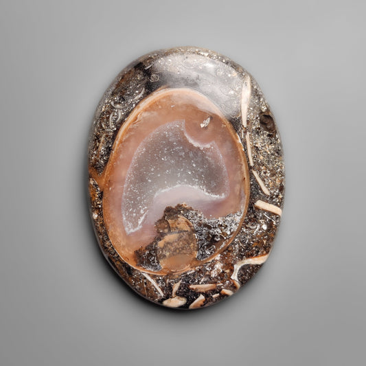Shell