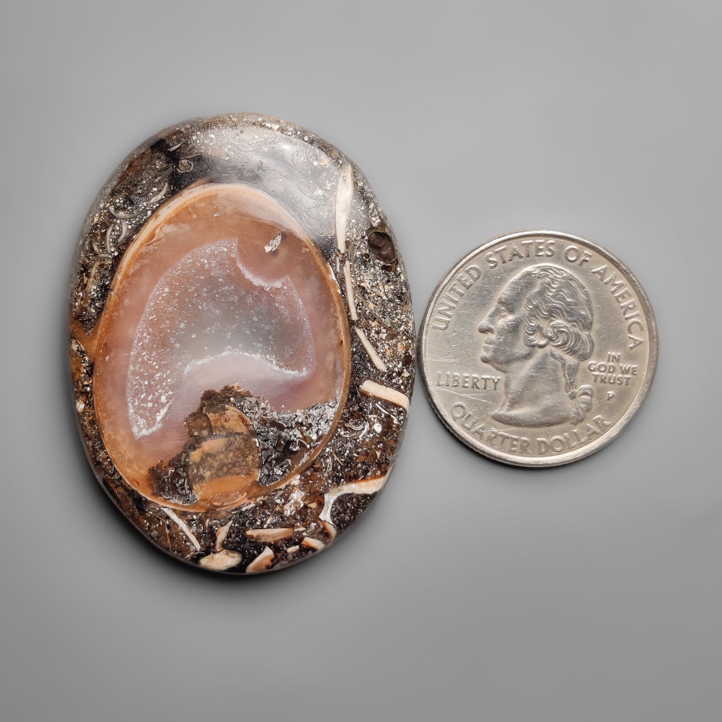 Shell