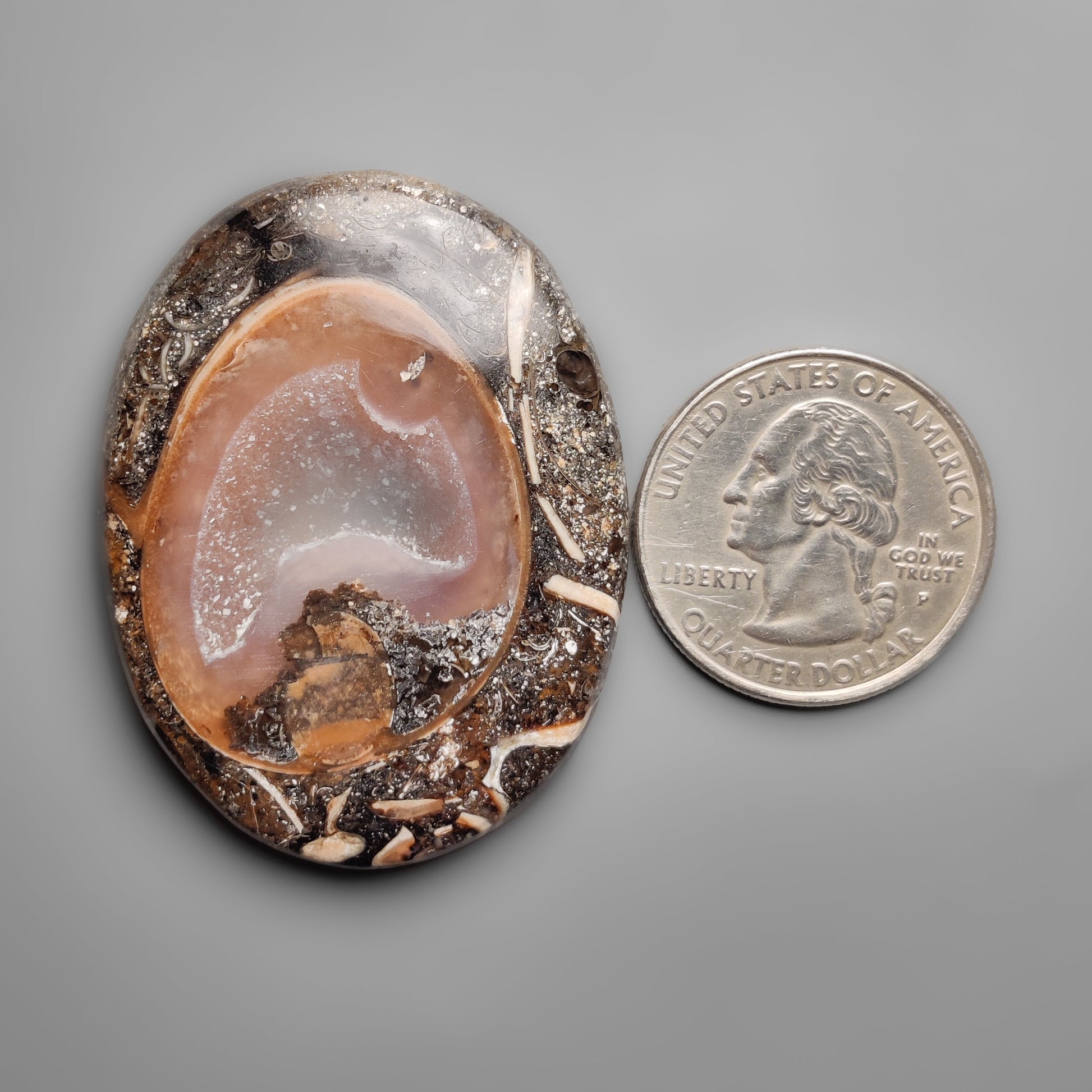 Shell