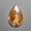 Plume Agate